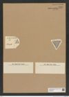 Diatomeae indet. Zeichnungen Sammlung Grunow Nr. 7559 (NHMW-BOT-W0376705)